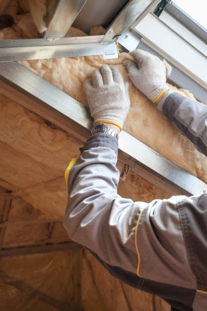 Best Crawl Space Insulation  in Driggs, ID